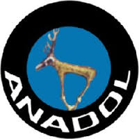 Concessionari Anadol